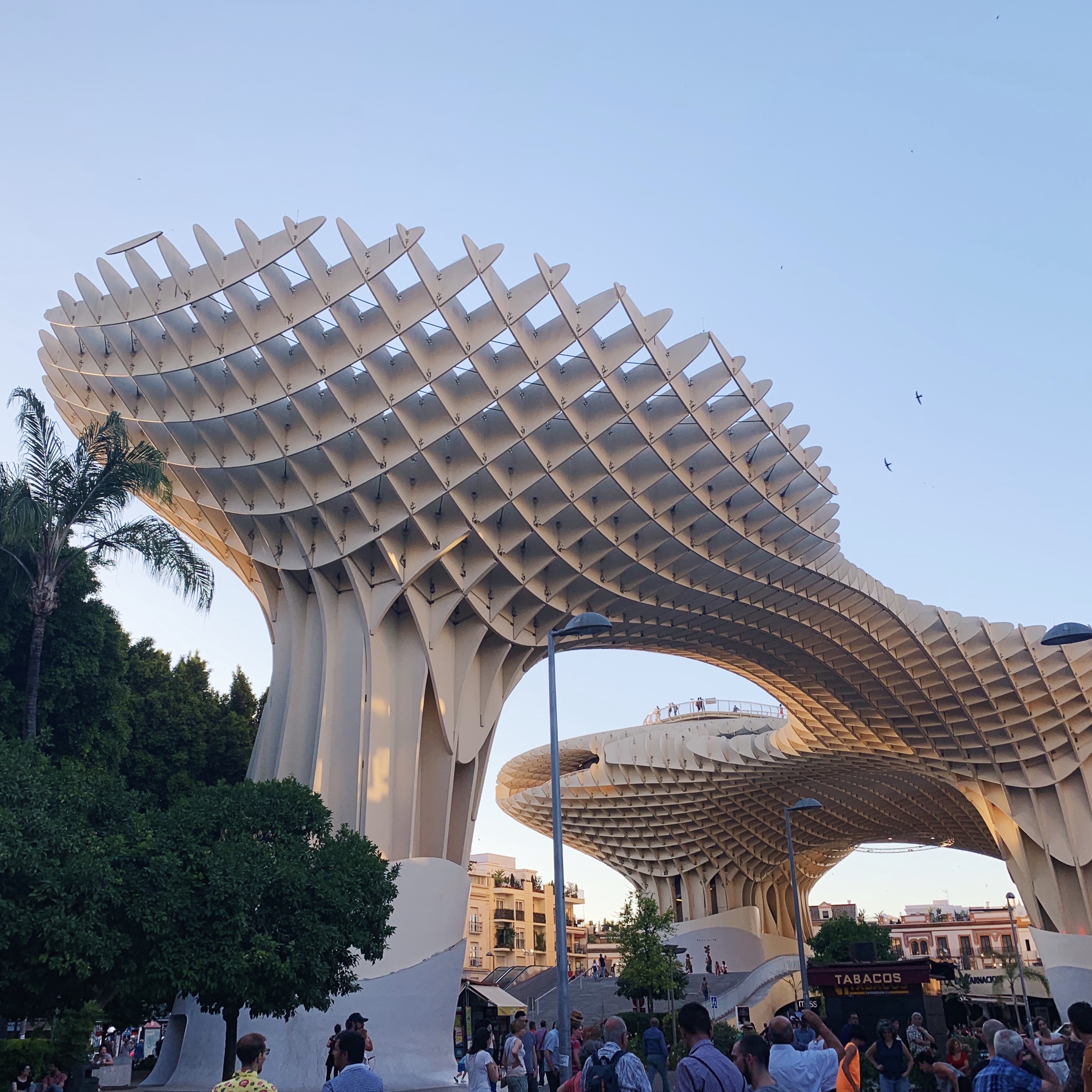 Metropol Parasol